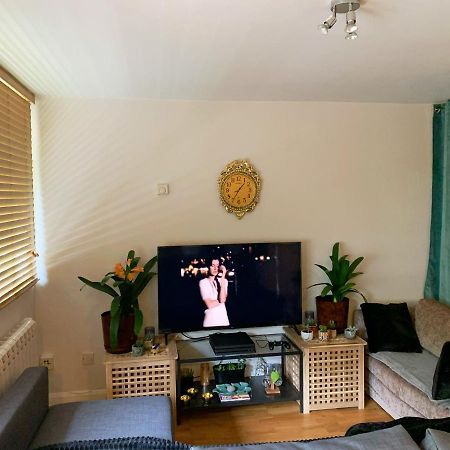 Garden Beautiful Cozy Flat , Recent Decorated. Apartment London Luaran gambar