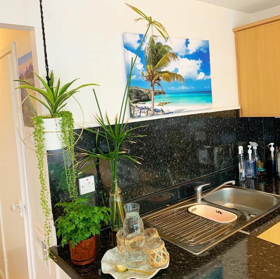 Garden Beautiful Cozy Flat , Recent Decorated. Apartment London Luaran gambar