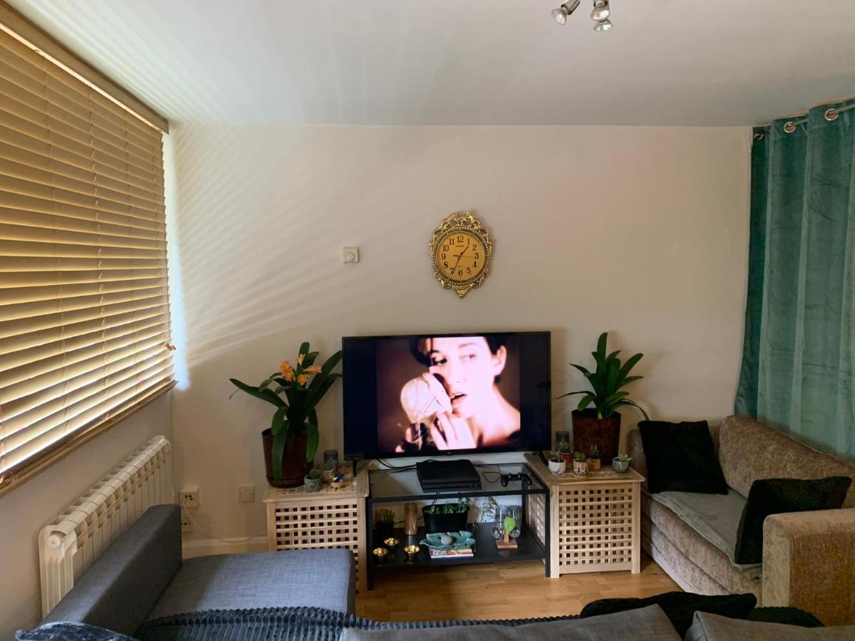 Garden Beautiful Cozy Flat , Recent Decorated. Apartment London Luaran gambar
