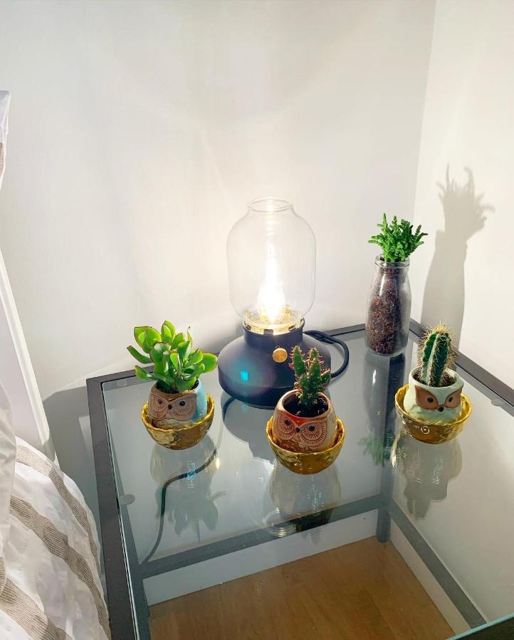 Garden Beautiful Cozy Flat , Recent Decorated. Apartment London Luaran gambar