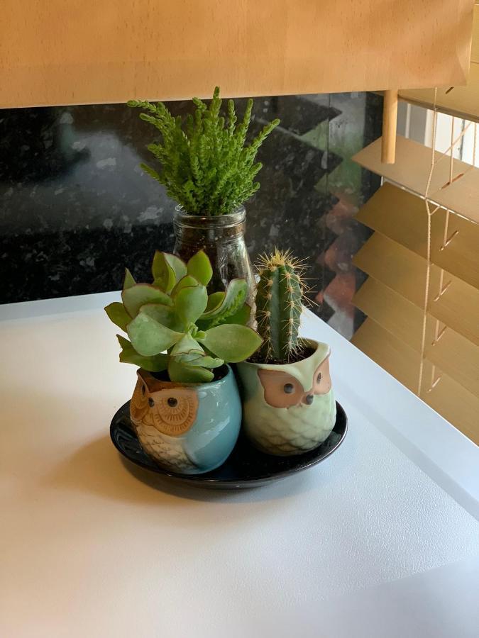 Garden Beautiful Cozy Flat , Recent Decorated. Apartment London Luaran gambar